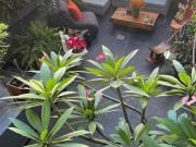 Casa en venta en calle cerrada con vigilancia en San...