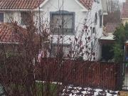 Casa en Venta en Calle Santa Estela