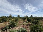 Casa en venta en Callosa de Segura. Casa de campo en...