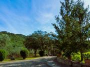 Casa en venta en Calonge, Poble. MASIA EN MAS ARTIGUES....