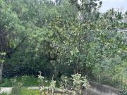 Casa en venta en Campestre Palo Alto