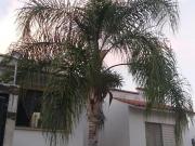 CASA EN VENTA EN CAMPO SUR TLAJOMULCO DE ZUÑIGA JALISCO