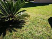 Casa en venta en Cangas, O Hío. Casas.