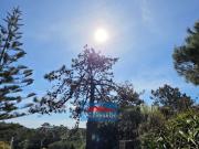 Casa en venta en Cangas, O Hío. CHALET ÚNICO EN FRENTE A...