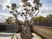 Casa en venta en Canovelles. Casa o chalet independiente...