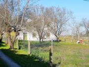 Casa en venta en Casar de Cáceres, Casar De Caceres