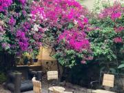 VENTA DE CASONA COLONIAL EN QUERÉTARO CENTRO CALLE...
