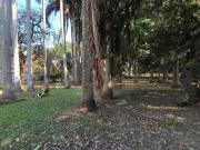 Casa en venta en Centro, Xochitepec, Morelos