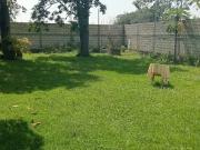 Casa en venta en Centro, Yautepec, Morelos