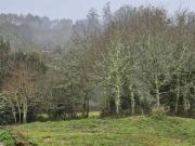 Casa en Venta en Cerceda