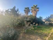 Casa en venta en Chiclana de la Frontera, Pelagatos Pago...