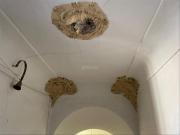 Casa en venta en Chinchilla de Monte Aragón. casa...