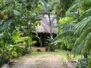 CASA EN VENTA EN CHOLUL CON EXTENSA VEGETACIÓN TROPICAL