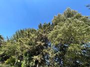 Casa en venta en Club de Golf Valle Escondido, Cancún,...