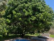 Casa en Venta en Cocoyoc Morelos