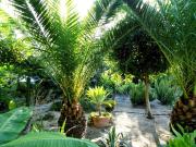 Casa en venta en Coín. Impresionante villa con piscina,...