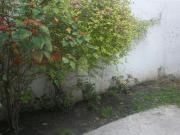 Casa Remodelada en Venta en Col Pro Hogar, Alcaldia...