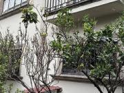 Casa En Venta En Colonia Del Valle