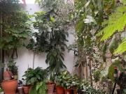 Casa en venta en Córdoba, Campo de la Verdad Miraflores....