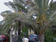 Casa en venta en Córdoba, El Higuerón. Casas.