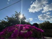 Casa en venta en Córdoba, Santa Maria de Trassierra....