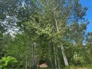 Casa en venta en CORONEL