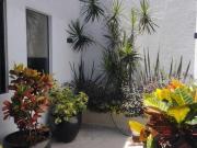 Casa en Venta en Cuernavaca, Morelos