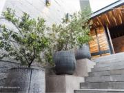 Casa en venta en Cumbres del Campestre, León, Guanajuato