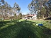 Casa en venta en Cuntis. Casa en Cuntis 55 m2, finca...