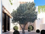 Casa en venta en Dénia, Centro Urbano. Casas.