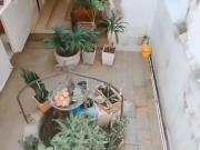 casa en venta en el centro. Cod V253