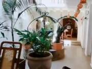casa en venta en el centro. Cod V253