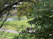 casa en venta en el club de golf santa anita