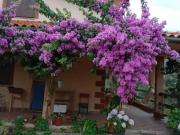 Casa en Venta en El Torno