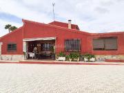 Casa en venta en Elche Elx, Peña de las Águilas. Amplio...