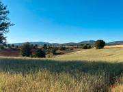 Casa en venta en Espinosa de Cervera. Casas Espinosa de.