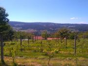 Casa en venta en Estrada A. CASA TERRERA PARA REFORMA...