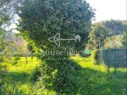 Casa en venta en Ferrol, Área Rural. Casas.