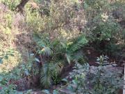 Casa en venta en Fracc la cañada, Lomas Atzingo Cuernavaca