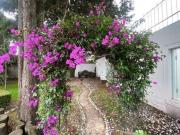 Casa en venta en Fracc Rancho La Virgen