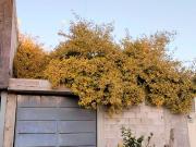 Casa en venta en Fraccion Rivera Mision de los angeles...