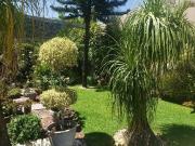 CASA EN VENTA EN FRACCIONAMIENTO EN ZONA DORADA DE...