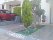 Casa en venta en fraccionamiento Senderos de Monteverde