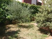 Casa en Venta en Galilea