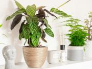 Casa en venta en Gandia, Urbanizaciones. Villa exclusiva...