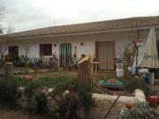 Casa en venta en Guadix. Finca de Olivos en Venta. Casas.