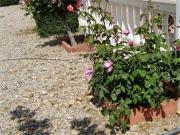 Casa en venta en Guadix. Guadix a 92. Casas.