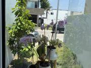 CASA EN VENTA EN HACIENDA SAN ANTONIO, METEPEC