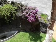Casa en venta en Heroes de Padierna, Tlalpan, Ciudad de...