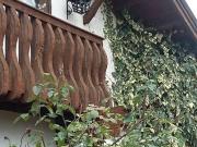 Casa en Venta en Holandesa